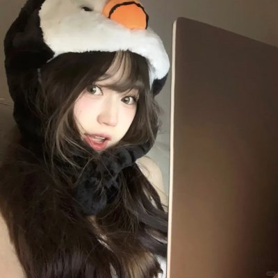 双生赤狐
