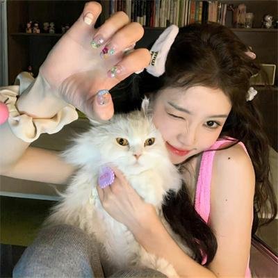献给检察官的玫瑰花