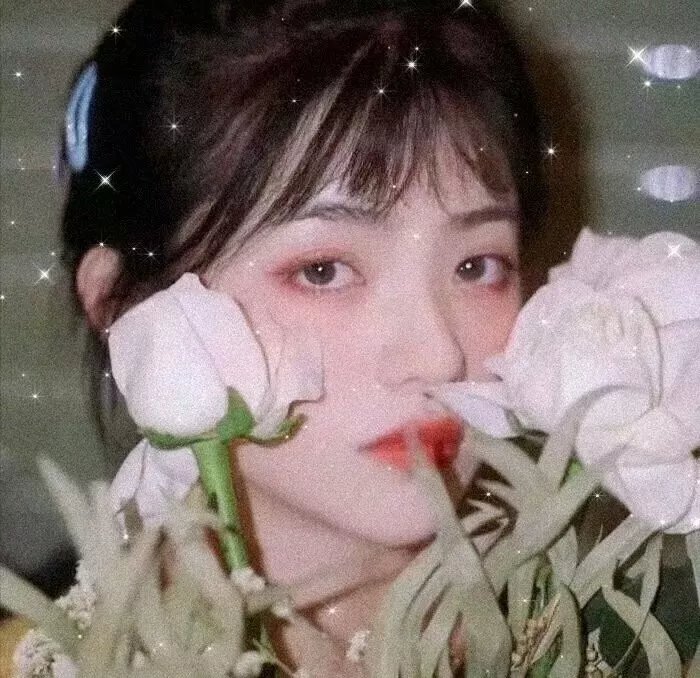 兰闺飞尸